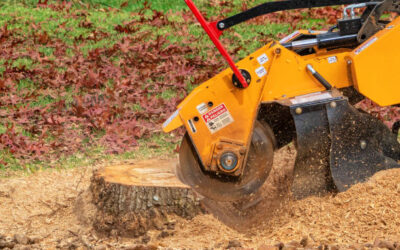 The Ultimate Guide to Stump Grinding