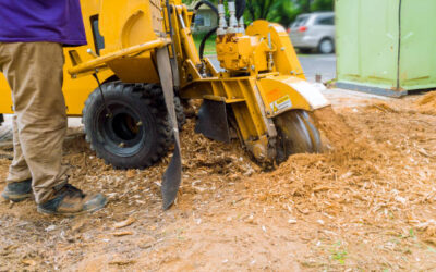 What Is Stump Grinding