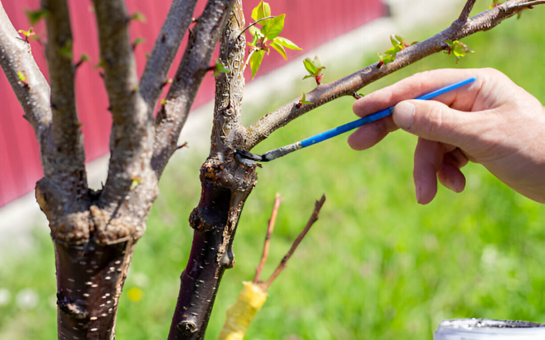 Why Hiring a Professional Arborist in Newcastle Is Essential for Your Trees